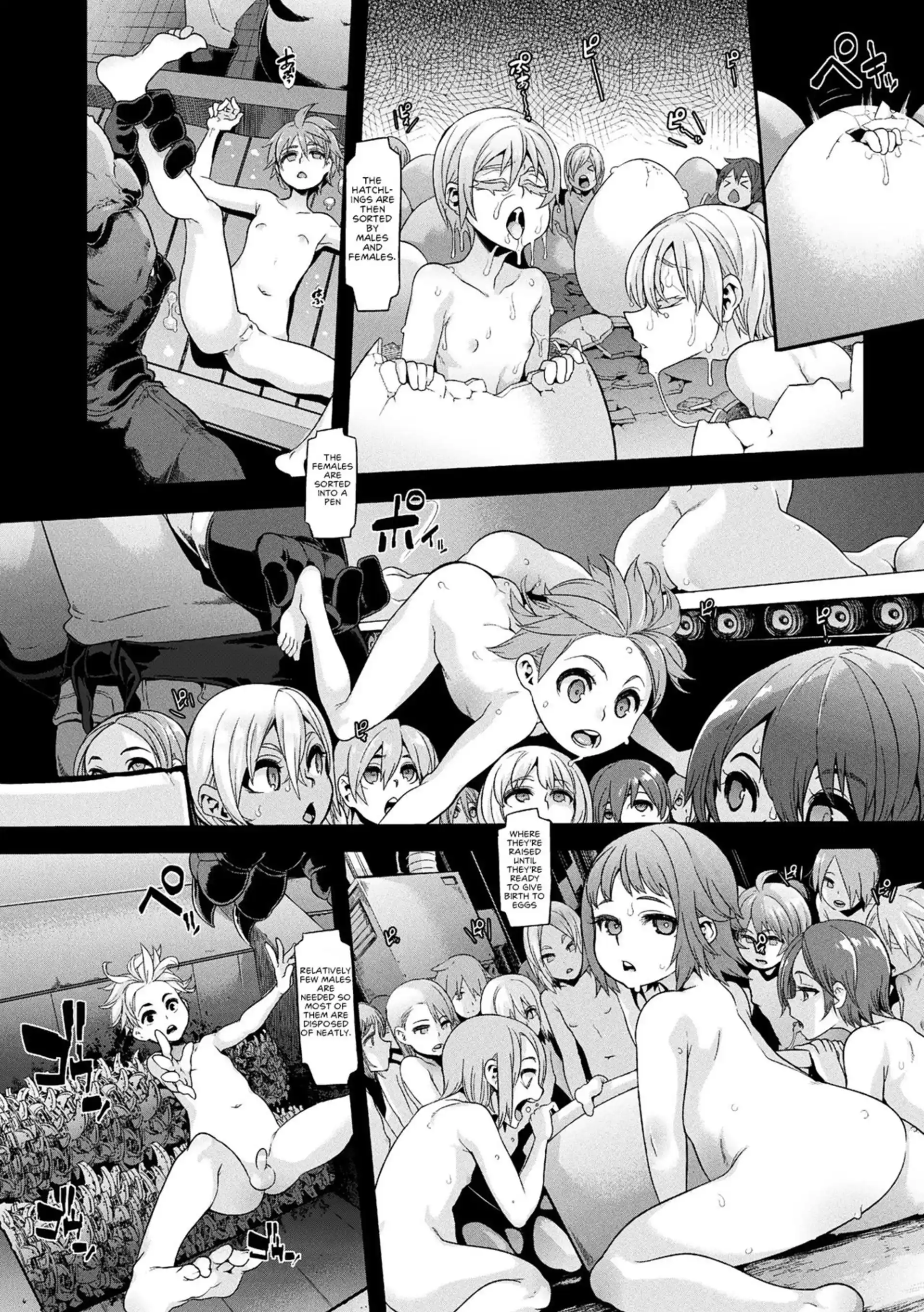 Poultry Farm of Chicken Planet Poultry Farm of Chicken Planet - Chapter 1 page 9
