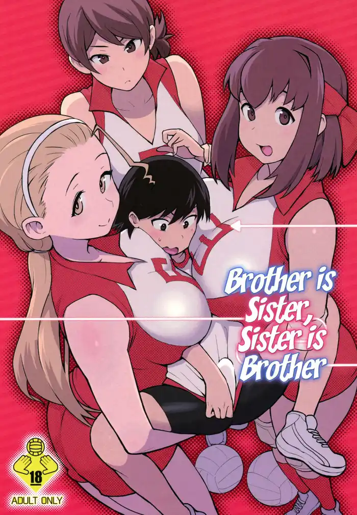 Brother is Sister, Sister is Brother Porn Comics