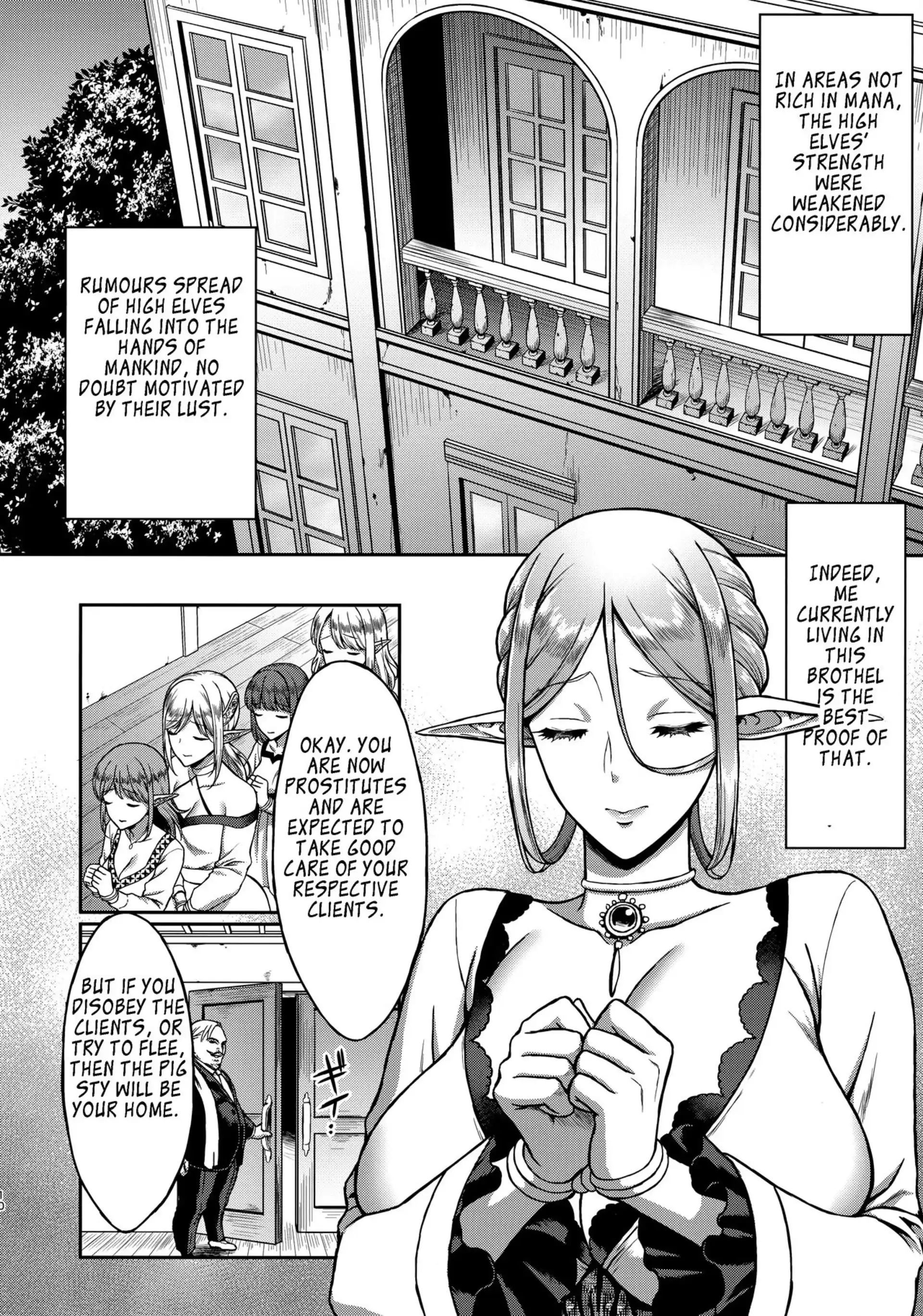 The Melancholic Elf Whore The Melancholic Elf Whore - Chapter 1 page 9